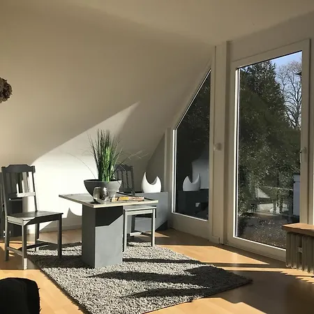 Apartment House In House *